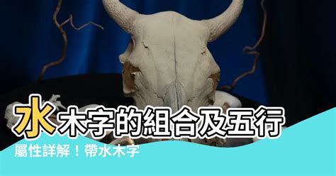 水木 苗字|【水木 苗字】水木姓氏大揭密：由來、分佈、人氣排行一次看